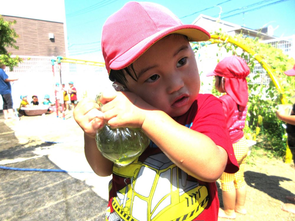 水遊びがとっても気持ちいい暑い日！
｢水したい！｣｢色水したい！｣暑さに負けず毎日楽しんでいるクマ組


遊びの中で感じる事がたくさんありました



｢冷たいねぇ｣
｢フワフワしとる♪お母さんとお父さんに教えてあげる｣
水袋に顔を押し当て気持ちよさそうなNくん…
感じた事を大好きな人に伝えたい♡
