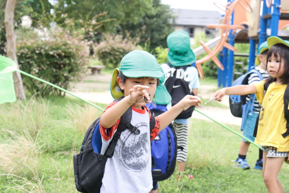 数年前I君のお兄ちゃんと行ったセミ捕りを思い出します・・・