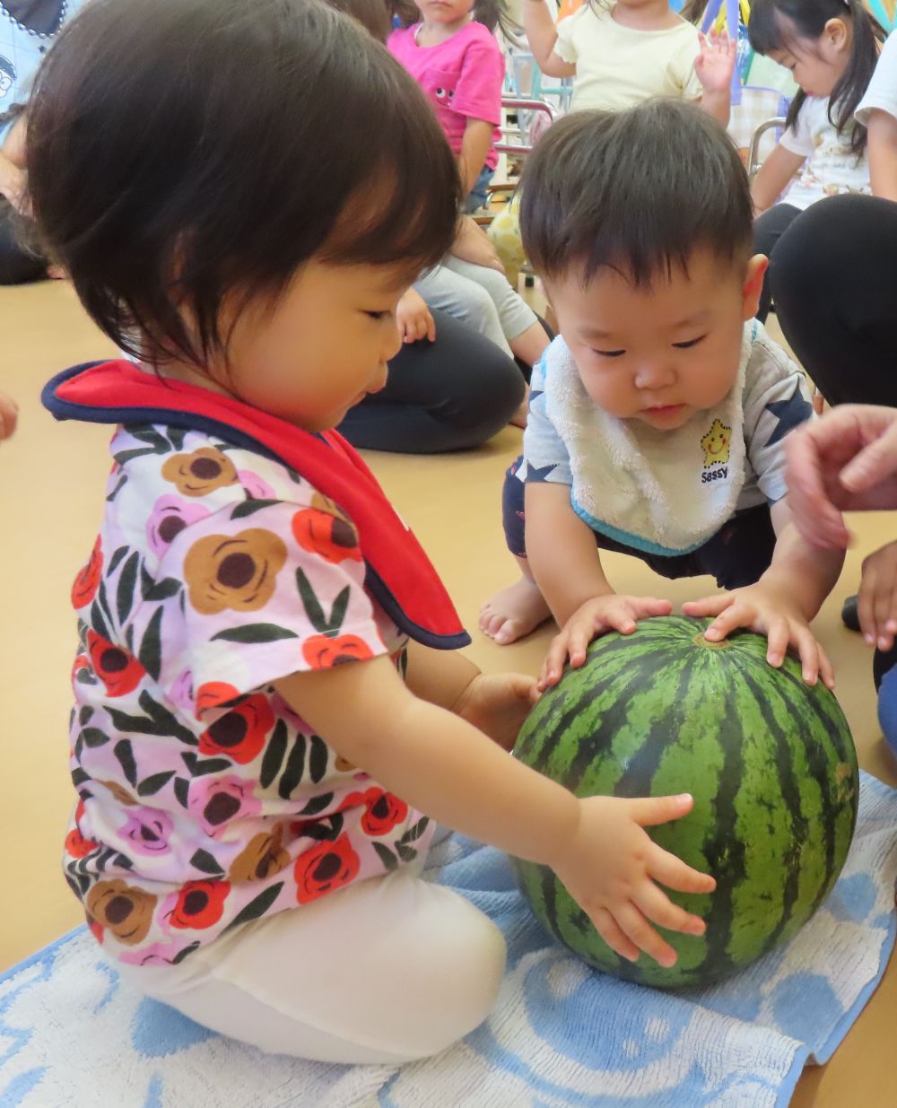 頂いたすいか🍉

🐰触ってみたよ💗