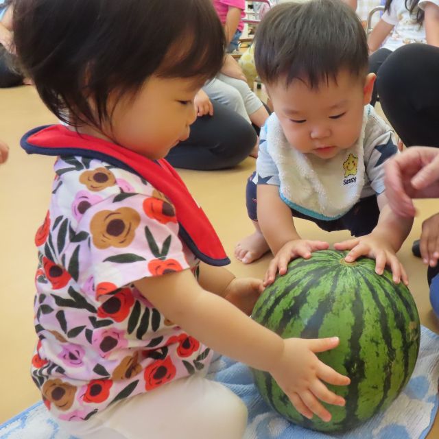 すいかわり🍉