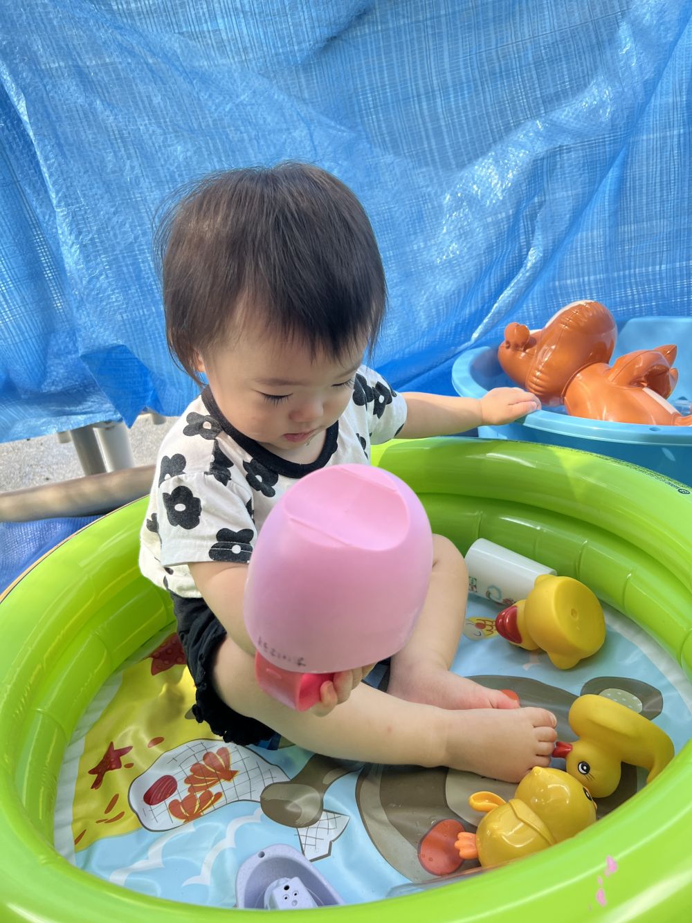 ちょっぴりお水が苦手なTちゃん。
水を入れずにプール遊び。
じょうろに水を入れてみると
遊んでいましたよ😊

個々のペースに合わせて遊んでいきますね。
