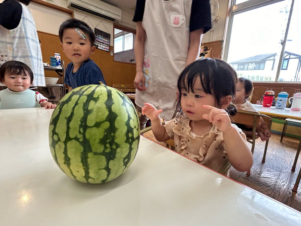 ”わあ、おおきい～！！😲”