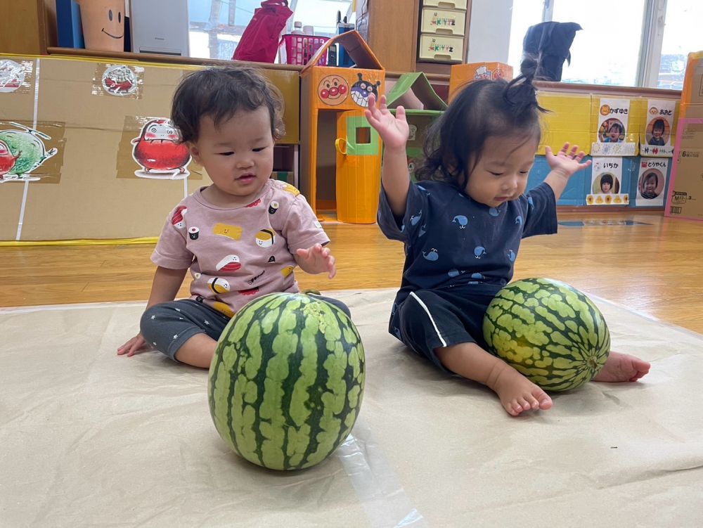 最初は怖がっていたNちゃんも
段々と慣れて・・・

最後は触って、転がしていましたよ！