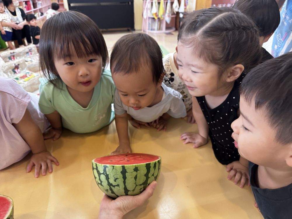 給食先生に切ってもらうことにしました(^O^)

ざくっ！ぱかーん！！


「あかいー！！」
「おかおみたいー！！」

割れた瞬間のすいかの匂いを感じて・・・

おやつで美味しくいただきました♡