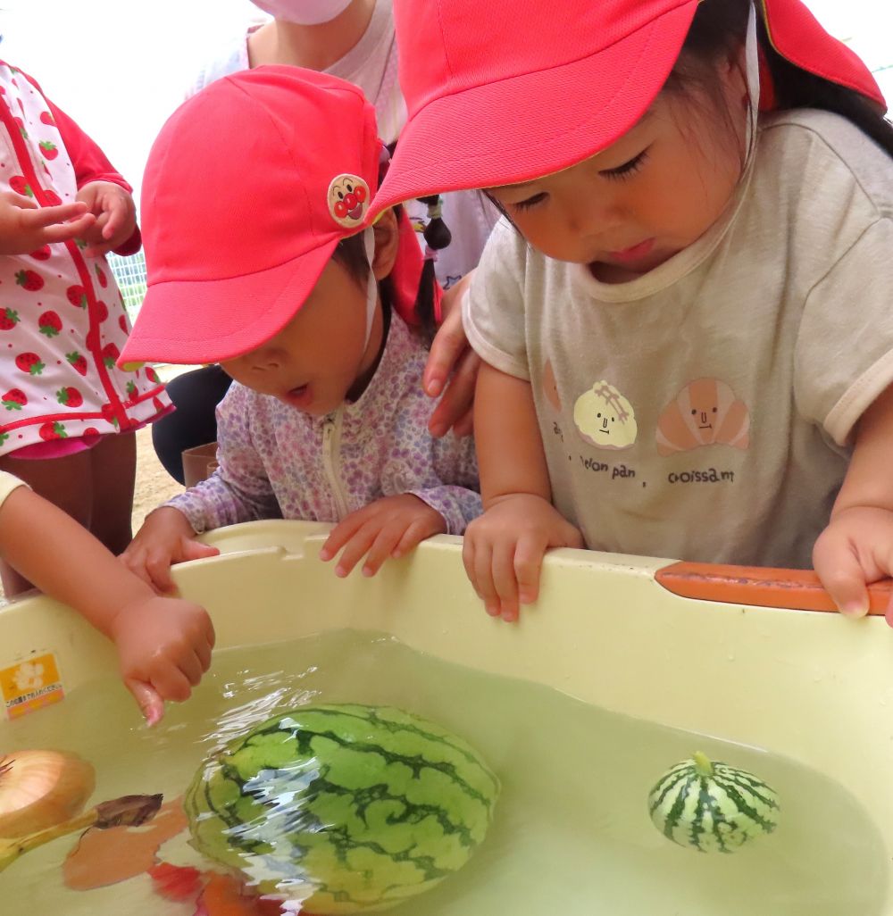 大きいスイカと小さいスイカ
　どっちも浮かんだねぇ～🍉