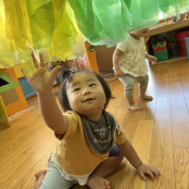 運動会ごっこ④　　～０歳児　ウサギ組～