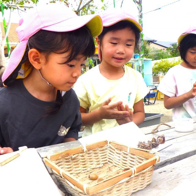 ＊　5歳児　秋が来た！！　＊