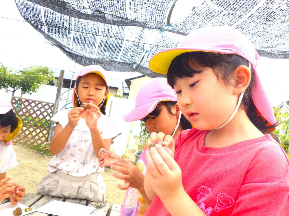 ボンドでどんぐり同士をくっつけたり
どんぐり帽子をのせてみたり....
「これがなかなかくっつかん...」と
苦戦するIちゃん
友達が棒を使って
ボンドをつけているのを見て
「あれがいい！！私も棒使おう！！」
ヒントは友達が教えてくれます♡