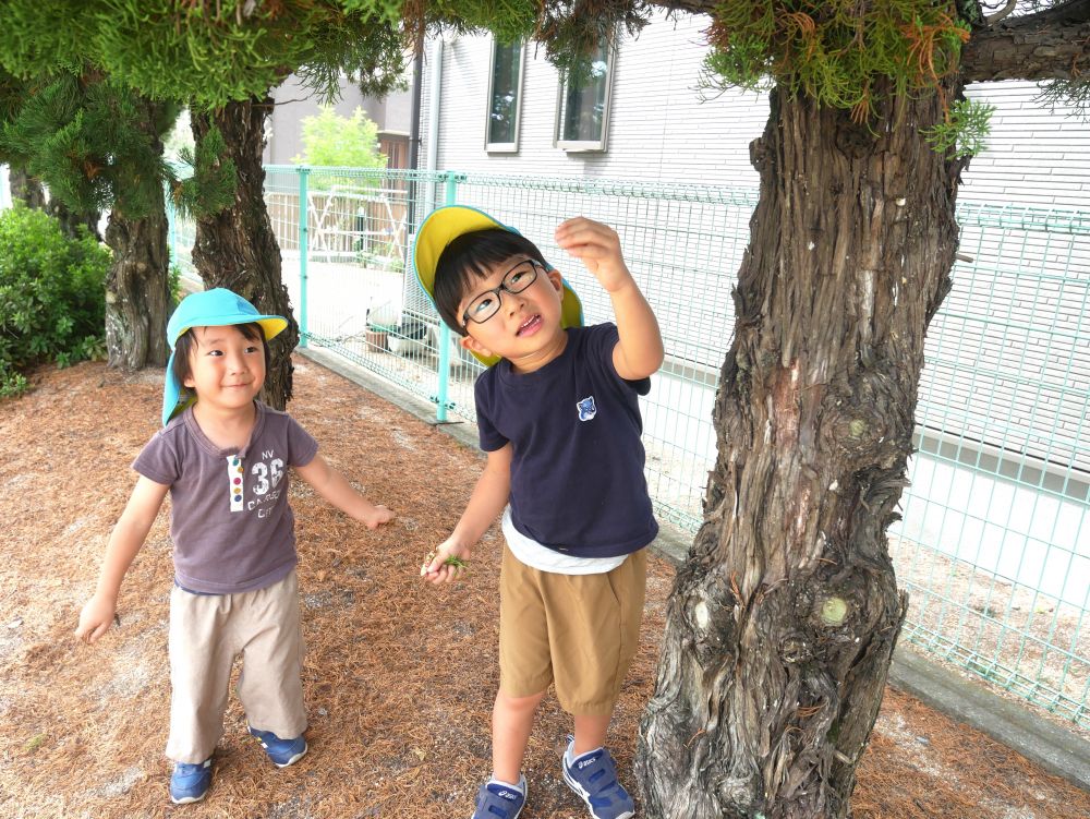 公園では小さな秋がチラホラ
『これなんだと思う？』
『実かな・・・ブルーベリー？』
『この木から落ちたんじゃない？』

たくさんの秋を見つけて楽しもうね♡