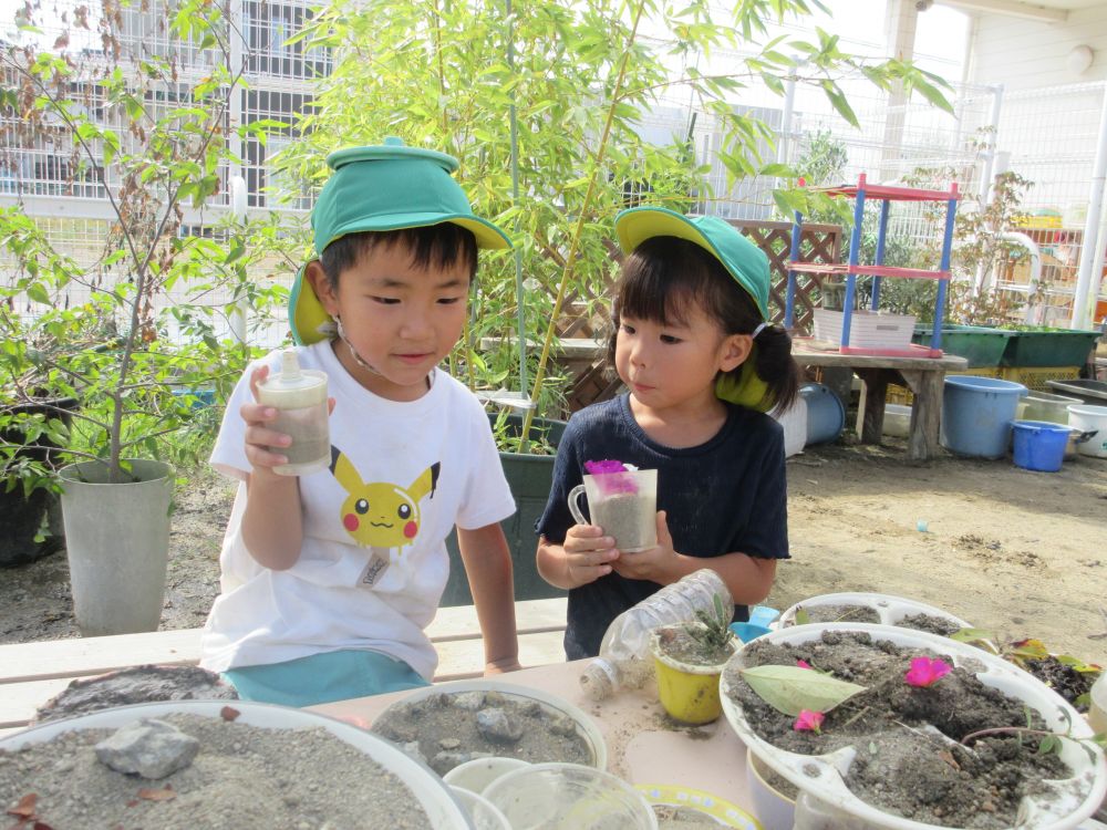 「これはなに？」
「白ワインでーす」
「ワイン子ども飲めんじゃーん！」
「この調味料をかけたら飲めるようになるよ！」

子どもの口から”ワイン”が出てくるとは思いませんよね！
普段からよく見て聞いているのが分かります♡

ちなみにIくんは帽子（鍋の蓋）をかぶってお店の人になりきっています♡