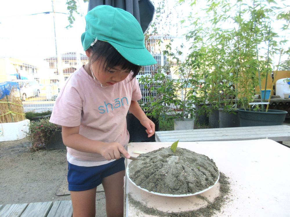 「ケーキ作ったよ！てっぺんはいちごね～」
「まってね切ってあげる！」
「あっスプーンがなかったとってくる！」

包丁（木の棒）でしっかり切り込みを入れてくれました♡
食べてもらうために必要な物も用意できるように・・・