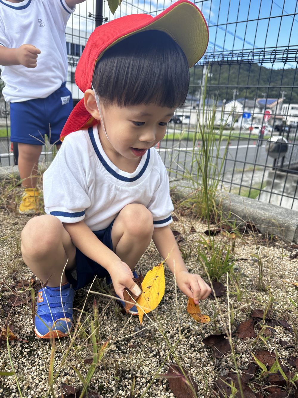 運動会の練習のあとは、
秋の自然に触れる🍂

あか、きいろ、ちゃいろ⋯
色んな色があるね😄