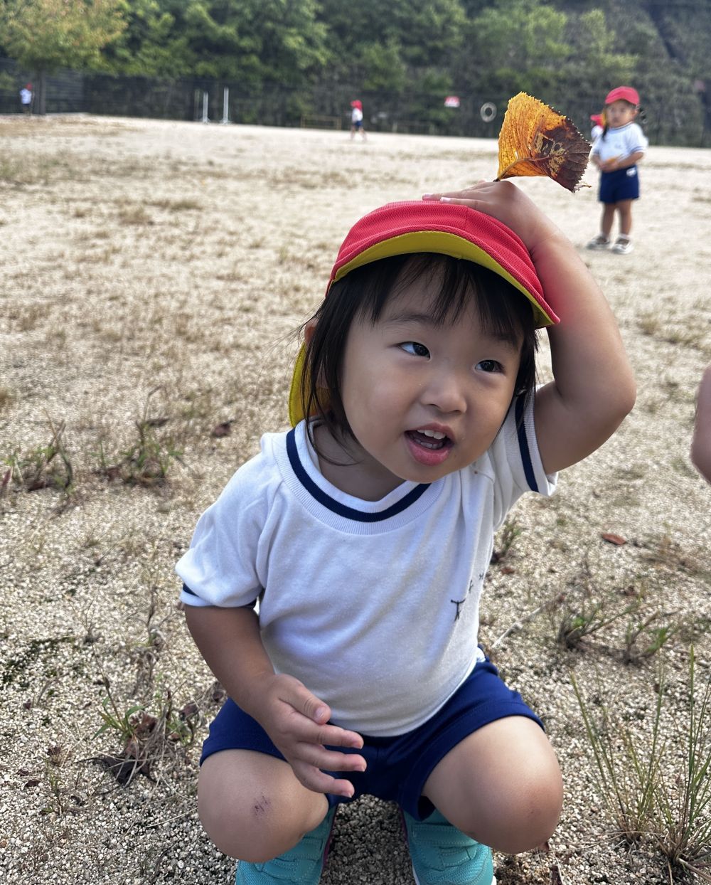 Aくんは⋯

「ピクミン」🌱   
想像を膨らまして⋯
なりきってます🎵

またお散歩行こうね♡