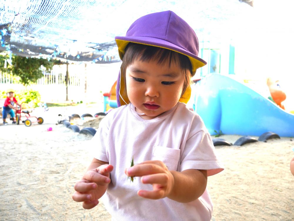 Rちゃんもどこにいるかよく知っているので
草花をめくってバッタ探し！！
見つけると、「あった！！あった！！せんせい！！」と大喜び♡
捕まえるのが難しく…
渡してみると、そ～っと優しく掴んでじーっと見つめる