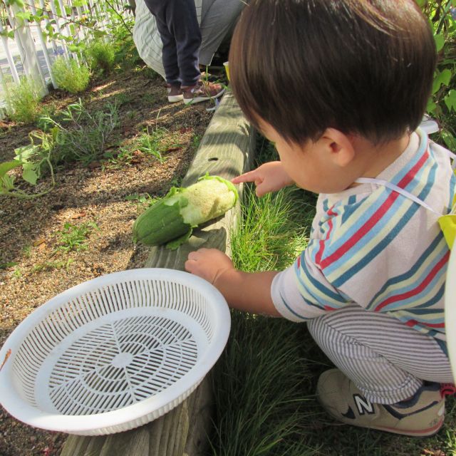 ＊　0歳児　自然物にふれて・・・　＊