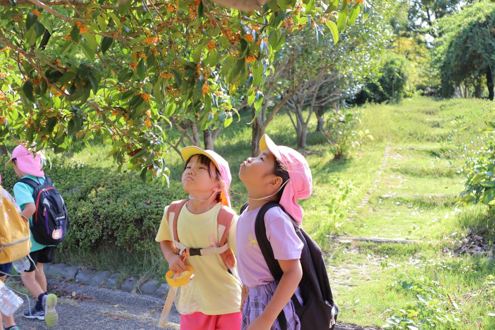 東尾道公園へ”秋”を探しに♡



クンクン・・・「わぁ～いいにおい♡」
早速見つけた”秋”　キンモクセイです
思わず顔を近づける子どもたち