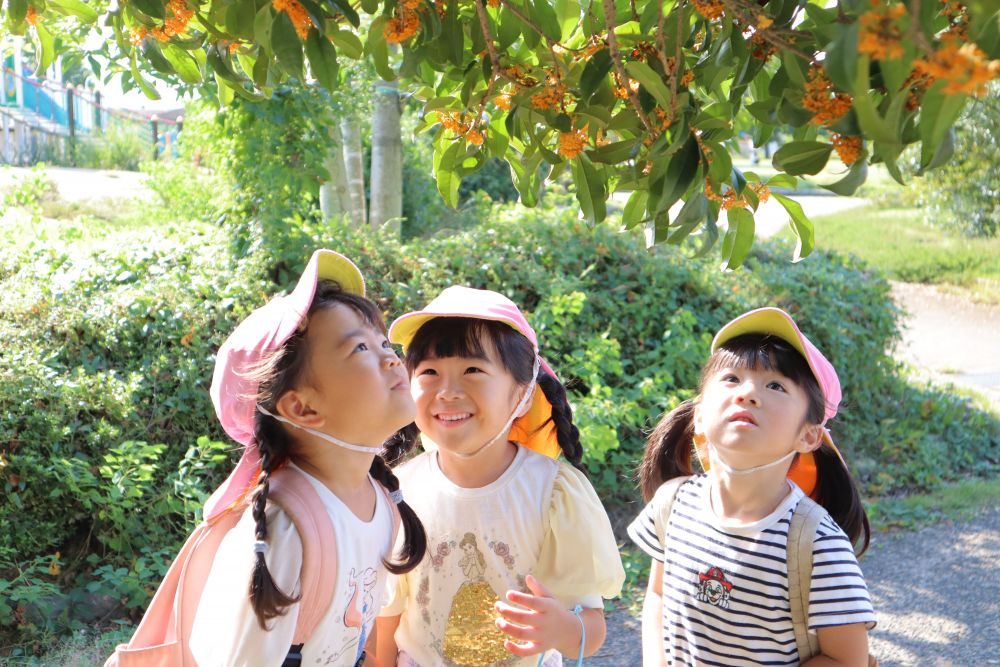 「ちっちゃくて黄色の花だね」
「かわいい～！」
「Yちゃんこの花好き！」
