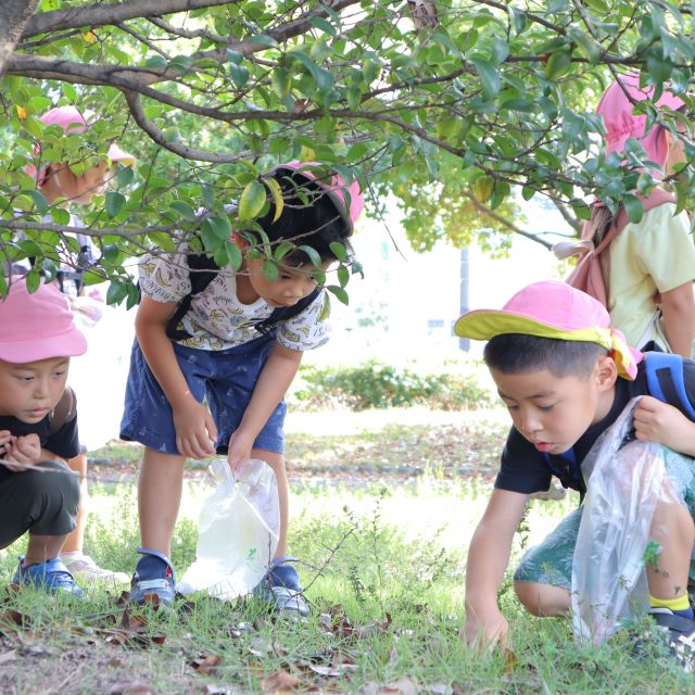 ＊　5歳児　秋の散歩②　＊