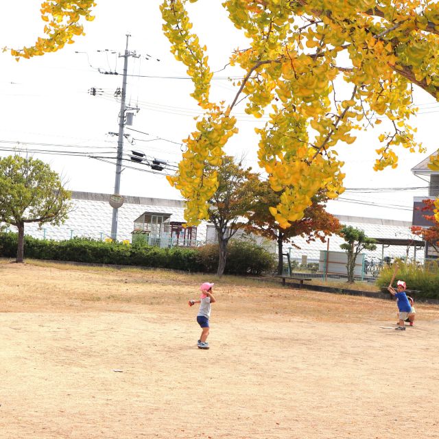 ＊　5歳児　秋の散歩　～高西公園～　＊