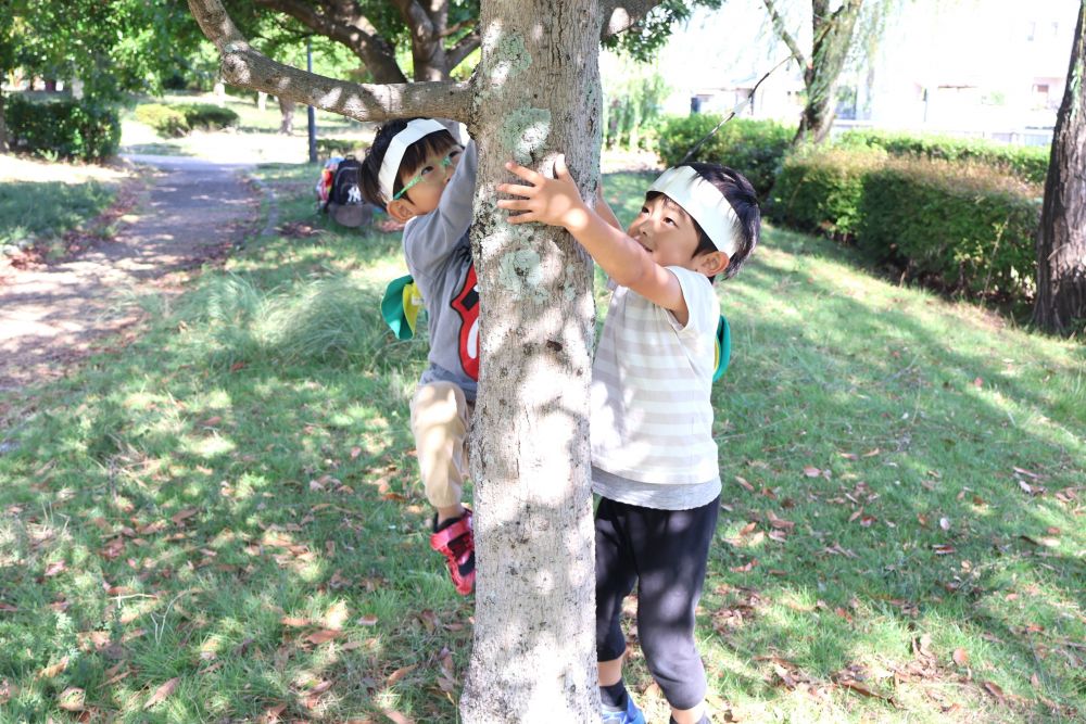 こちらは木の棒をくっつけて・・・
”カブトムシ☆”

「カブトムシは木にくっついとるよね！」
「登ってみよう！」
「むりか･･･じゃあひっつこう！」
