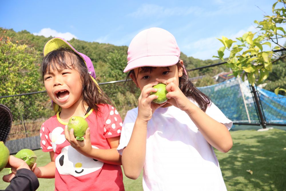 “匂いかいでみよう〜”

「うわ～レモンの匂い ！」
表情からも伝わる酸っぱさ（笑）

触れて匂ってレモンを満喫しました♡