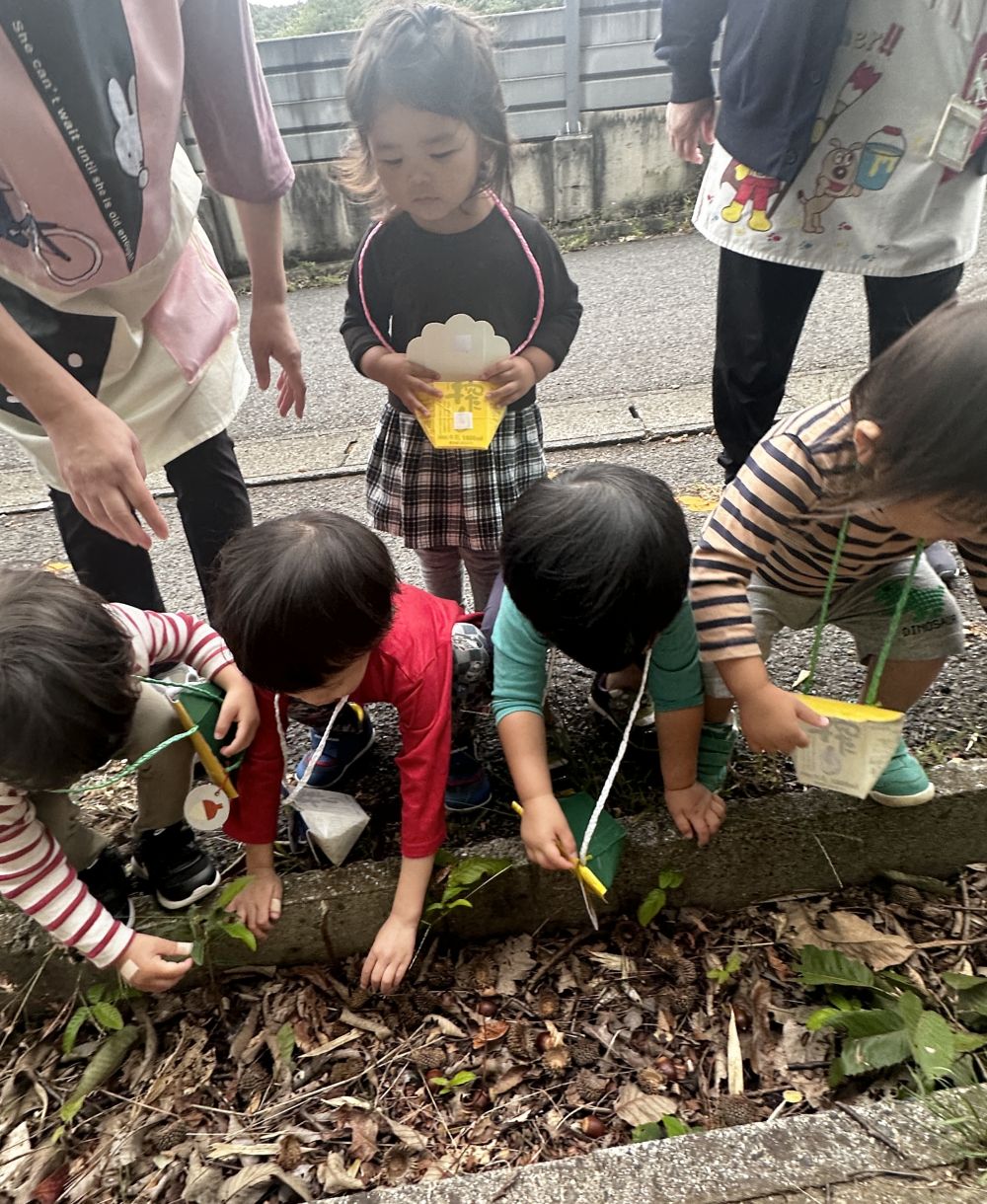 目的地に到着したら⋯

みんな集中して、
どんぐり探しが始まります⋯

その目は真剣な眼差し👀