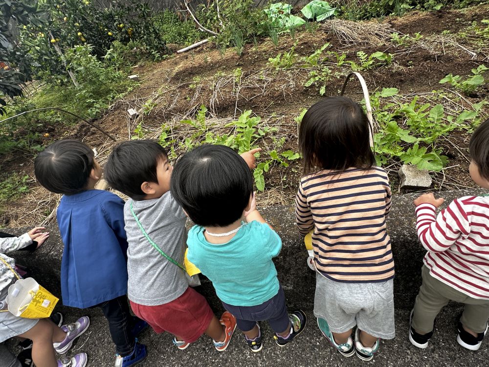 大根も発見！！

先日みんなも植えた大根！
ここの大根の葉っぱは大きいね～と、
じっくり観察👀