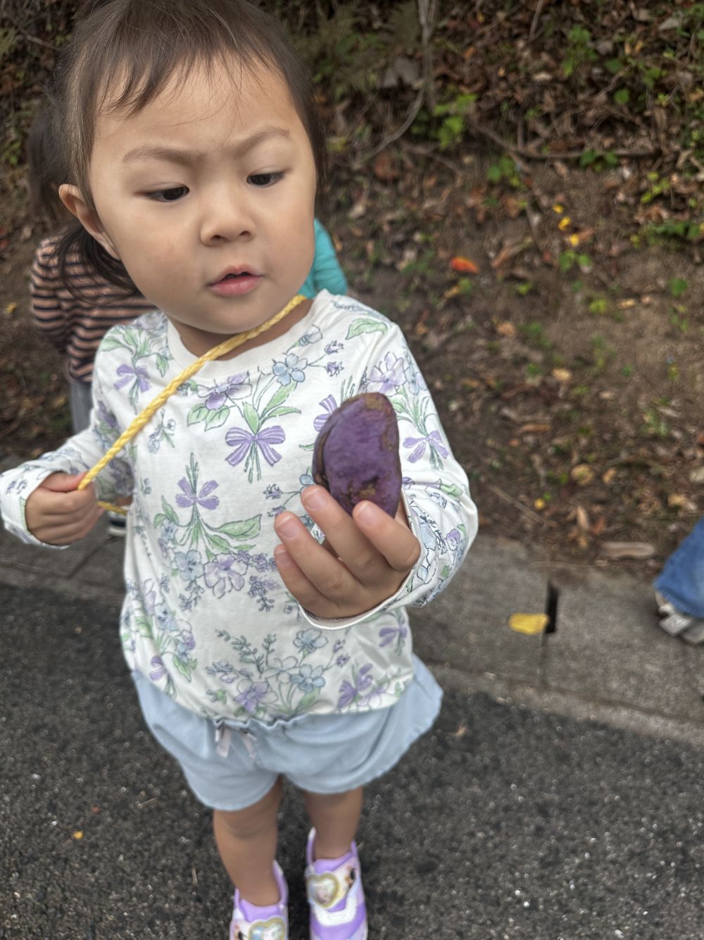 これなんだ？シリーズ

「アケビ」
