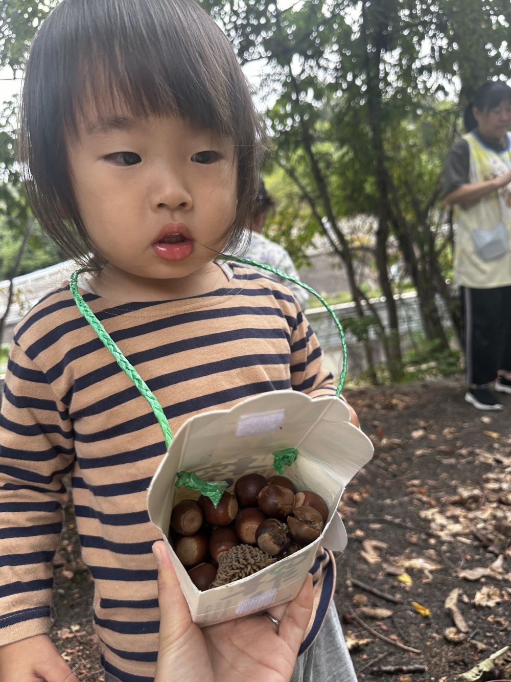 今日のどんぐり集めチャンピオン👑

‎Aくん✨️

職人のように、
仕分けしながら入れていました！