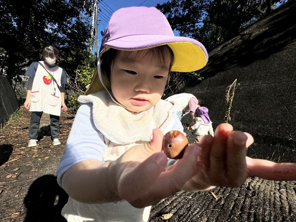 Oちゃんも両手にどんぐり！

だけど⋯あれ？
穴があいてるどんぐりでした!!😂