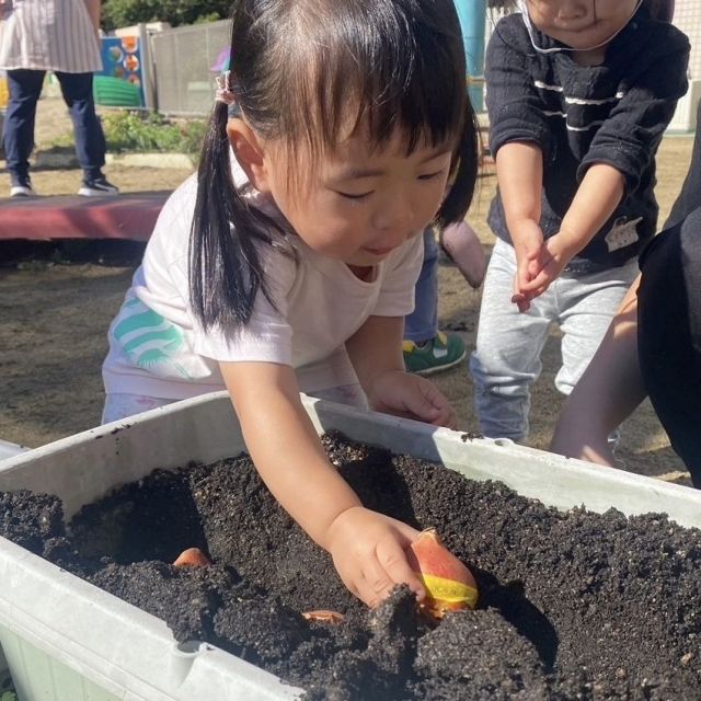 球根植えたよ　〜1歳児　 ヒヨコ組〜