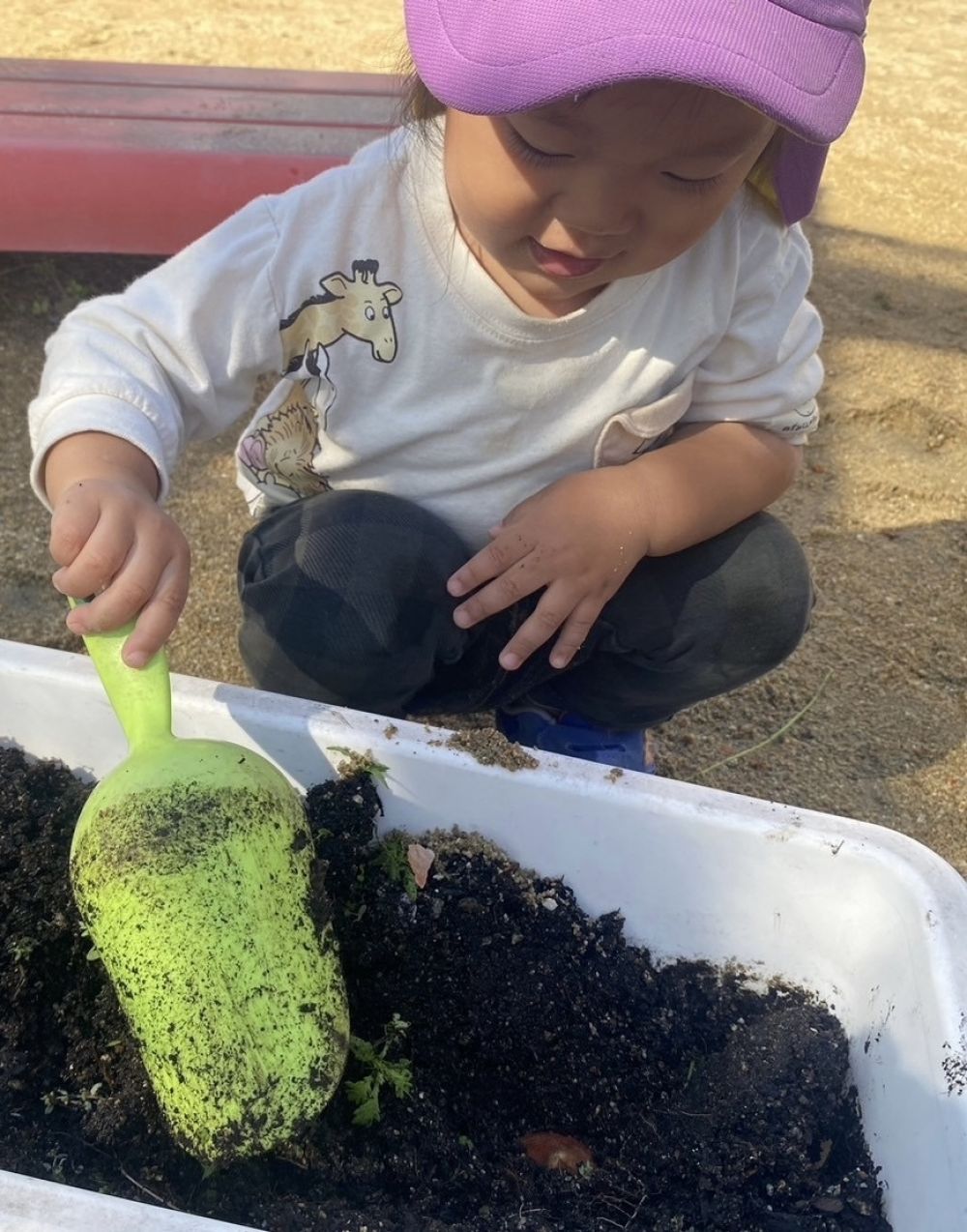 置くことが出来たら上から
土のお布団を被せてあげます😊