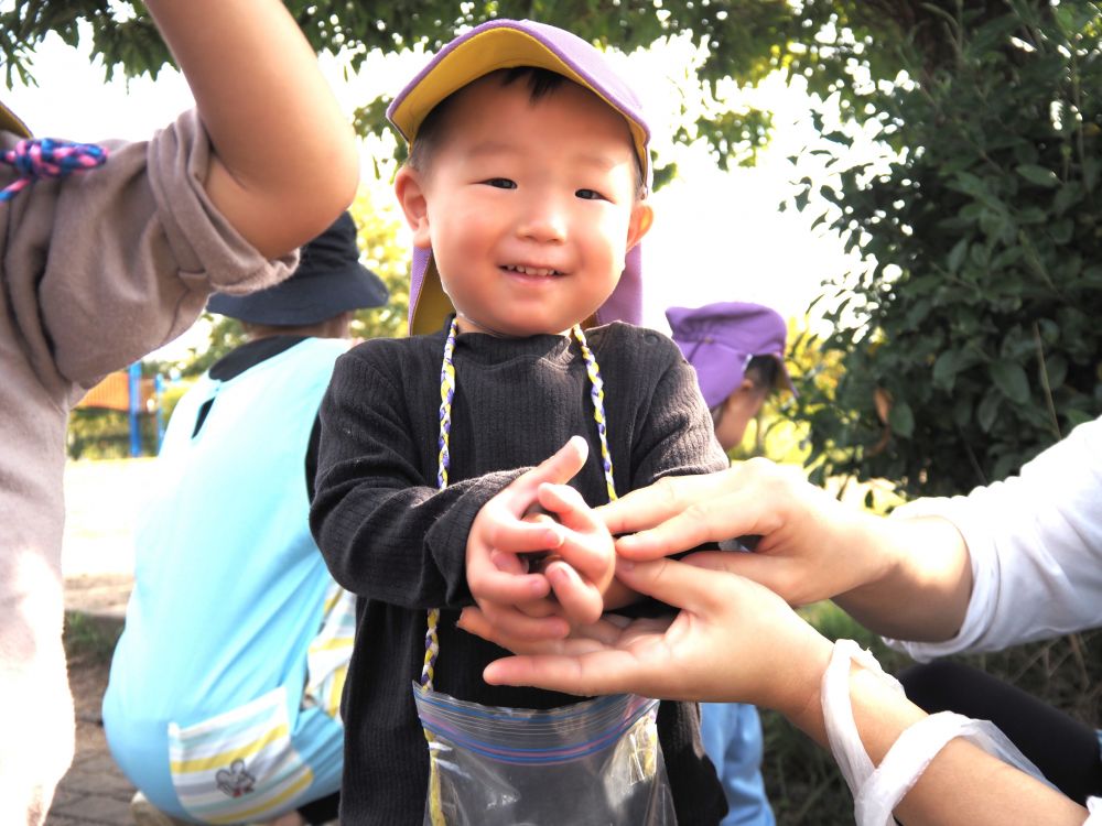 天気も晴れ散歩日和～
お散歩バックを持って、公園にレッツゴ～！！


公園に着くと落ち葉がたくさん！
葉っぱのシャーワーやどんぐり探し♪
どんぐりを見つけると
｢あった！｣　｢ちょうだい！｣
夢中になって探すヒヨコ組さん
どんぐりを見つけたRくん｢じゃーん！｣と持って見せてくれました