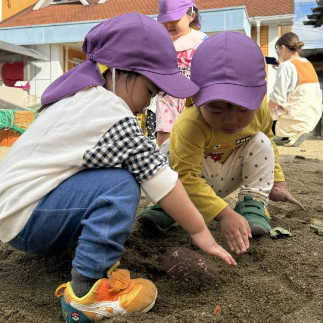 芋掘り　〜1歳児　 ヒヨコ組〜