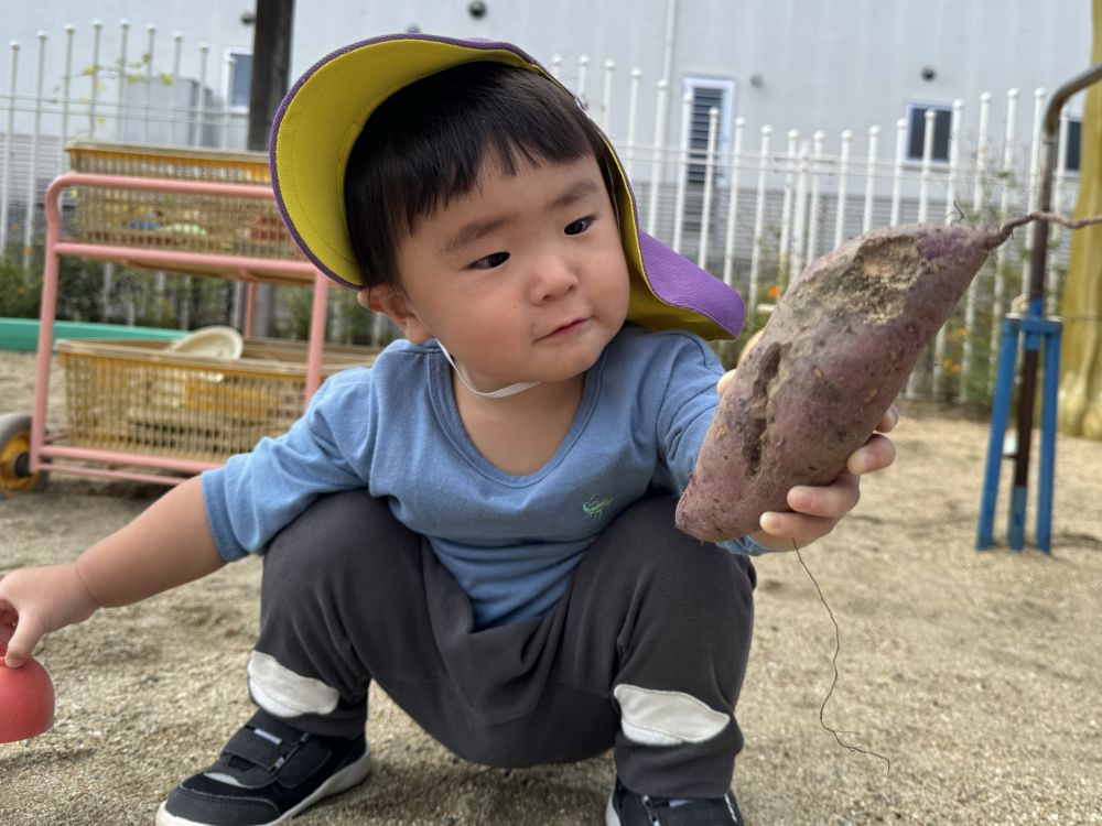 大きなお芋を持って遊んでいたKくん。
こんなに大きいのあったよー！と見せてくれました♡