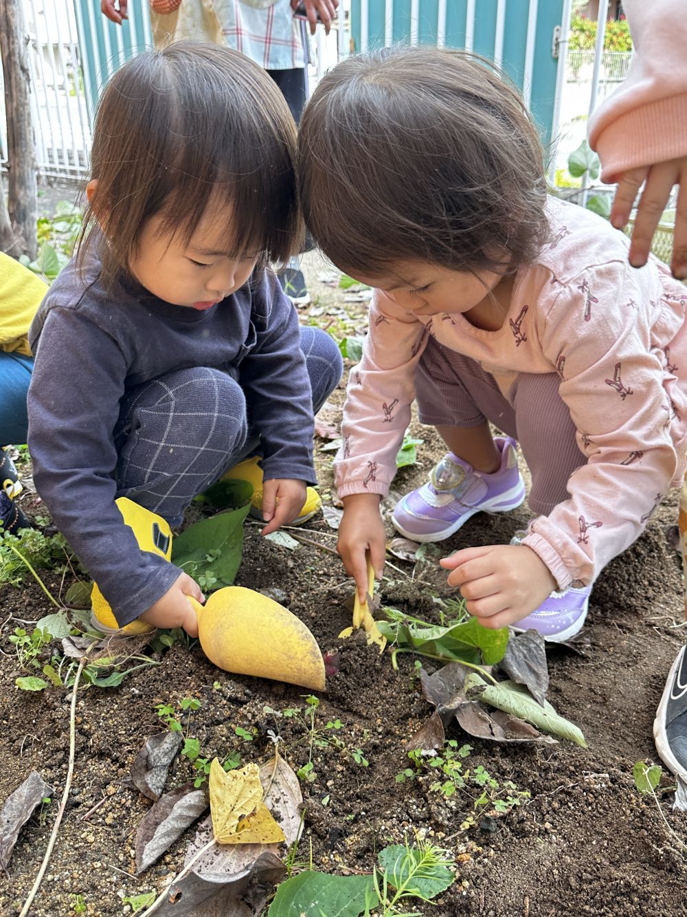 友達と一緒にほりほりほり⋯