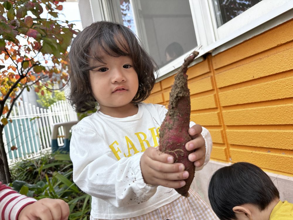 みてみて！

おっきいおいもとれたよ🍠❤️