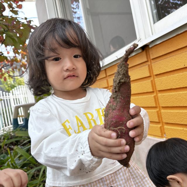 おいもほり②  ～2歳児  クマ組～