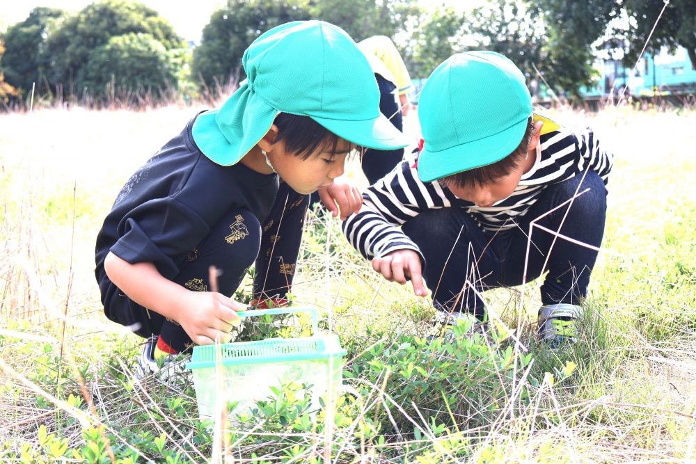 虫探しに夢中の男の子・・・
バッタやコオロギなど歩くと虫がいっぱい飛ぶ！
それをそっと追いかけて捕まえる♡
いつも帰る頃には大量です！