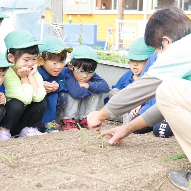 ＊　４歳児　玉ねぎ植えたよ　＊