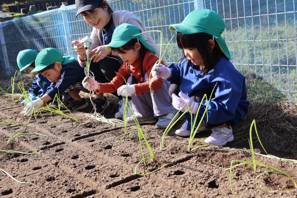 １束ずつ優しく丁寧に♡
大事に植えてくれました😊


