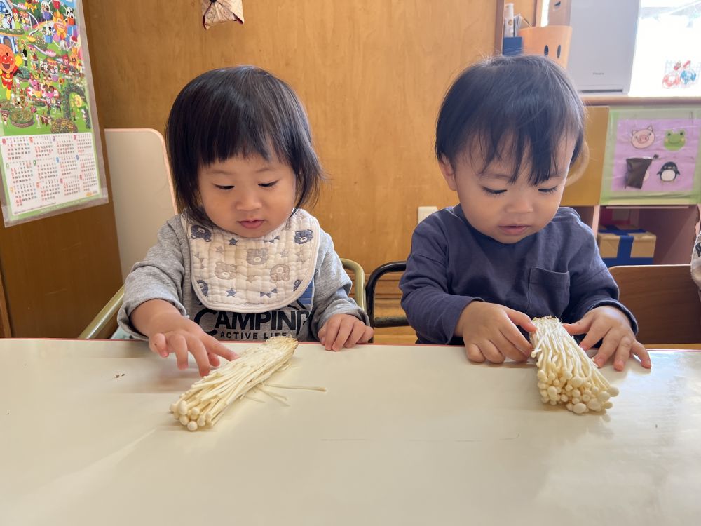 今月の食育はキノコを触ろう🍄
えのき、しめじ、えりんぎをさわったよ。

興味津々の2人。