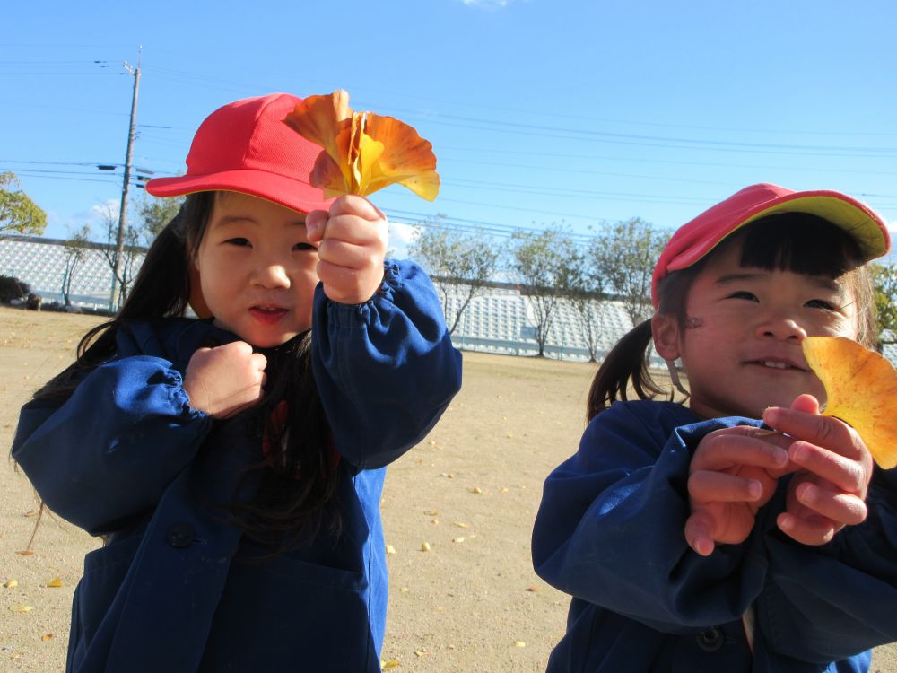 高西公園におさんぽに出かけました
広い公園で、早速思い思いに遊び始めます



風が吹いてイチョウの葉がたくさん落ちてきて・・・
「わー！葉っぱがいっぱい落ちてきたー！！」
ワクワクのSちゃんとKちゃん

手の平にいっぱいになるまで拾い集めるのを楽しんで、
2人で花束のように持ち歩いていました♪