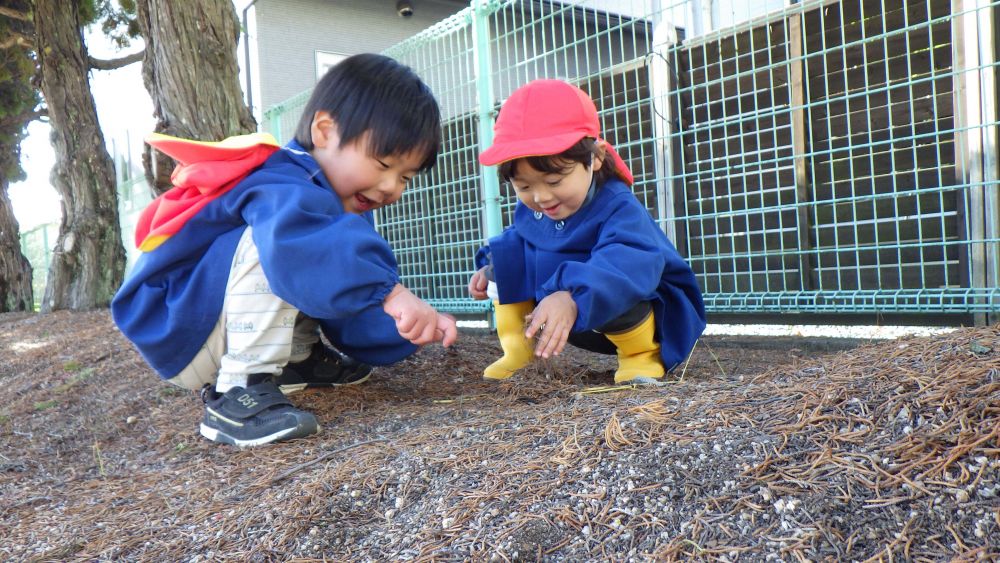 たくさん落ちている茎や枝を集めていたKくんとHくん、
｢パスタつくろんだ｣
集めてきた物を使いごちそう作りがはじまりました
｢これをパラパラして…｣
｢もっと葉っぱがいる！｣
2人で相談しながらいろいろ工夫しています

沢山の木の実を拾って帰ったクマ組さんでした
