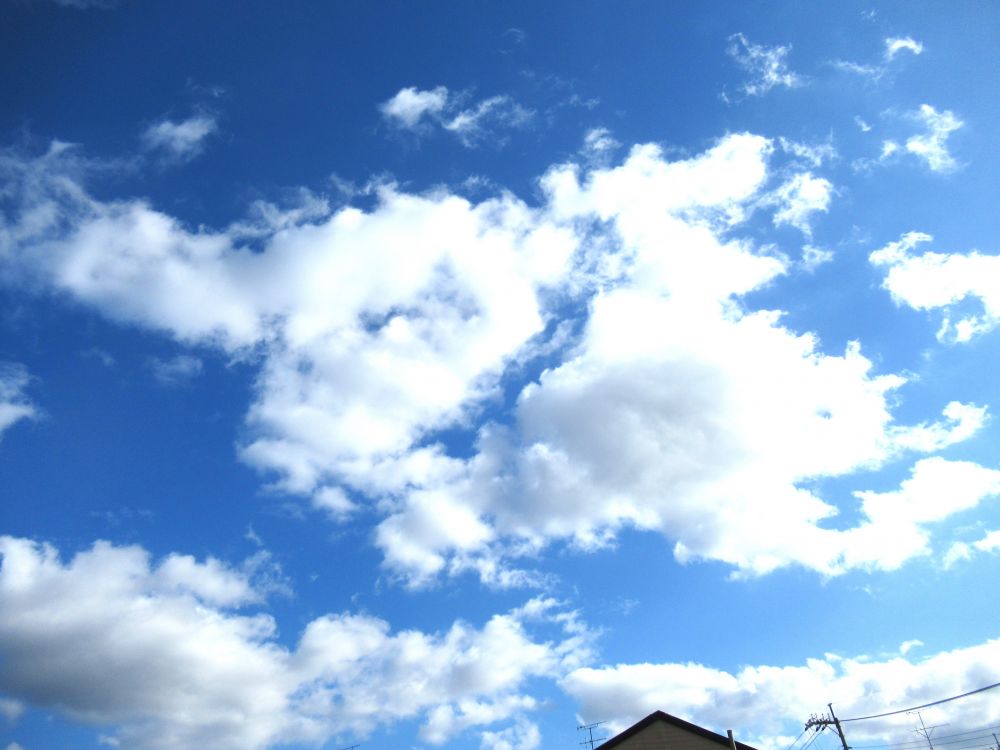 その視線の先には・・・
青い空　白い雲

子どもたちはいつも
小さな幸せに気付かせてくれます♡