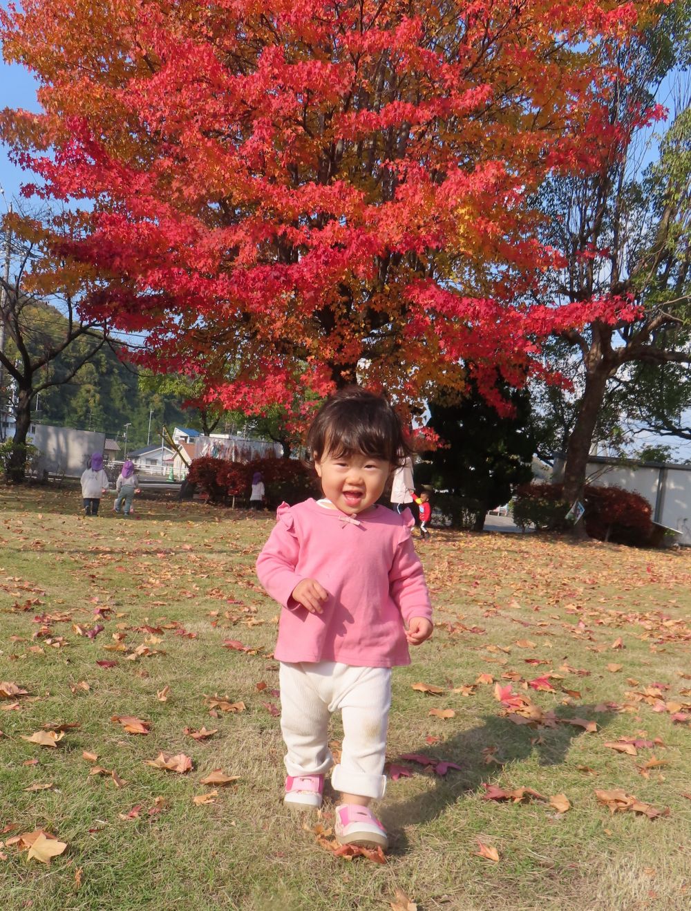 紅葉のきれいな公園を

はしる🐰