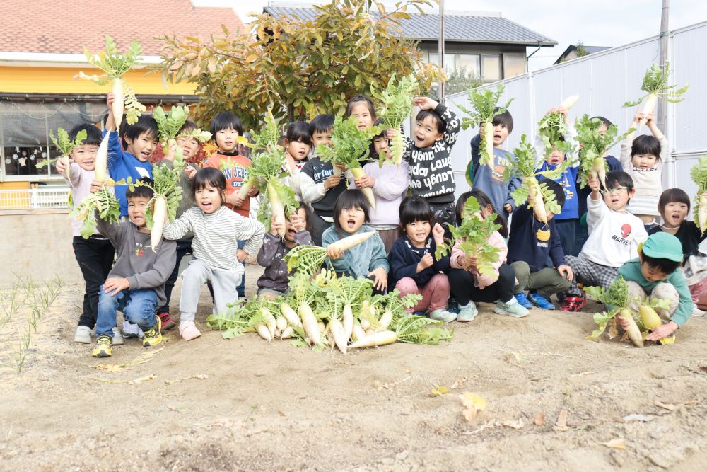 冬も深まり霜が降りてきだしたこの頃
例年と比べ少し小ぶりな大根ですが、いよいよ収穫です

たくさん取れてみんな大満足の様子