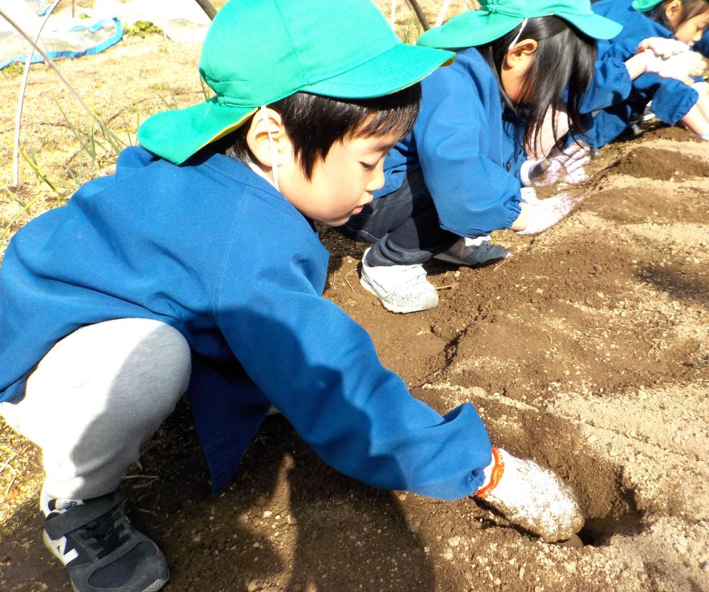 いきいき畑に出発する前、雪がチラつき始めました。
大丈夫かな・・・
と思っていましたが、子どもたちはますます楽しみに・・♡
畑に行く道中もしとしとゆっくり降る雪を見ながら元気に出発～！


