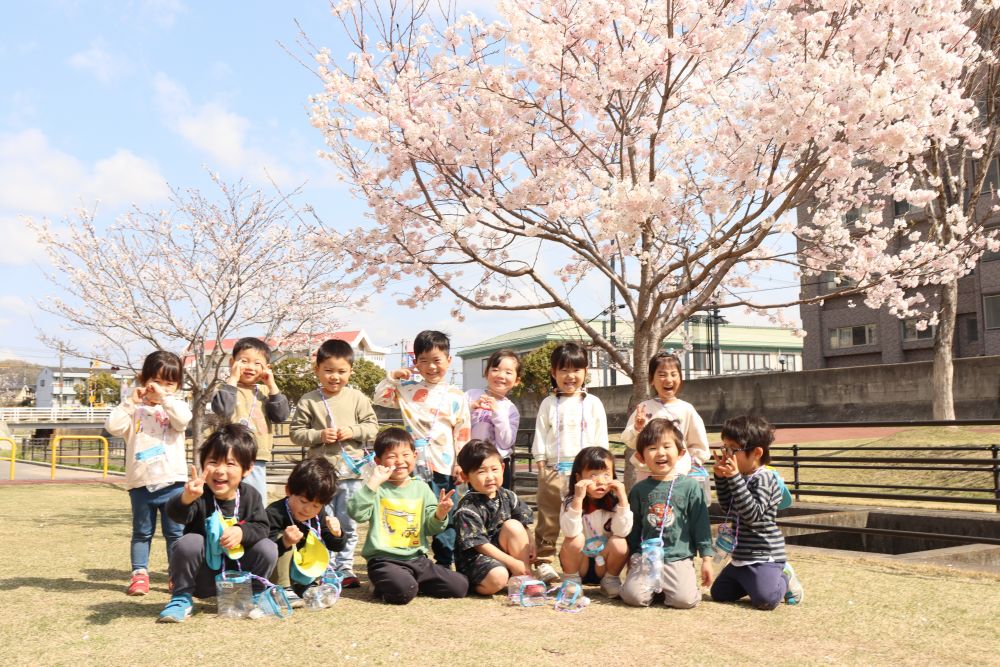 現在春休み真っ最中ですが、気候はポカポカ、風が吹いたら涼しい素敵なお散歩日和
桜ももう少しで満開の黒崎水路
青空をこいのぼりが泳ぎ芝生も新芽が出てきました