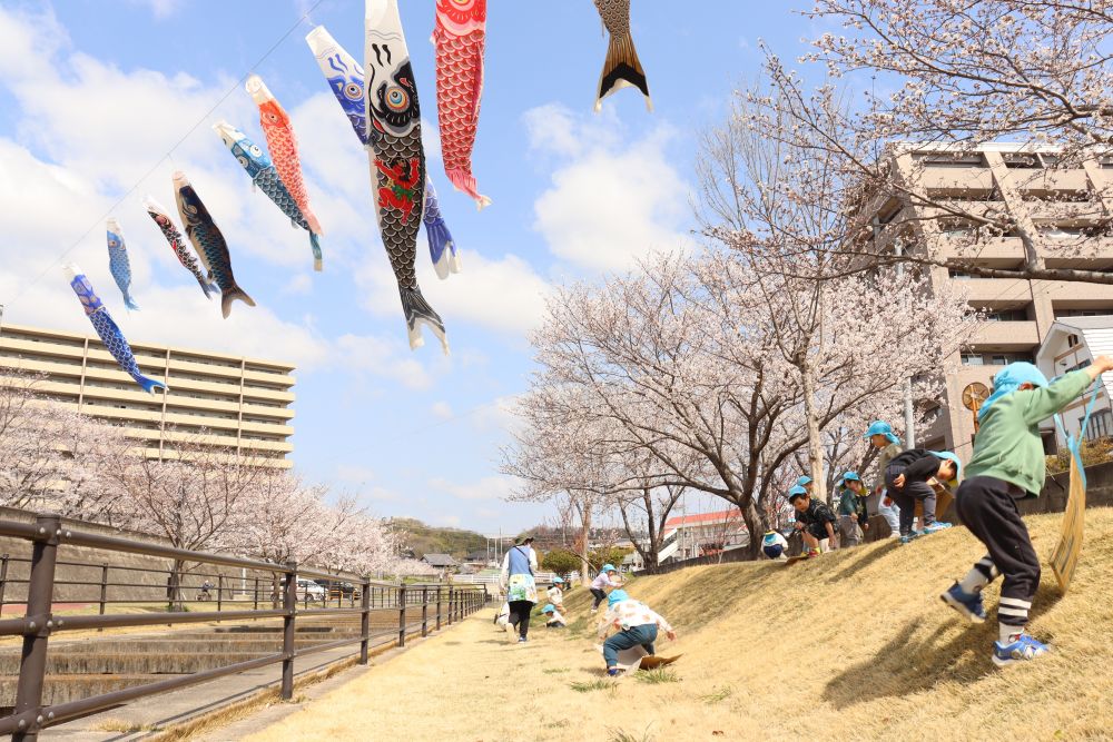 桜をバックに写真を撮ったら芝滑りを楽しみました